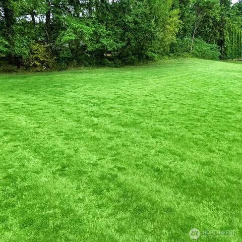 a view of a green field