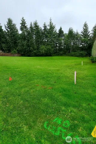 a view of a green field with trees in the background
