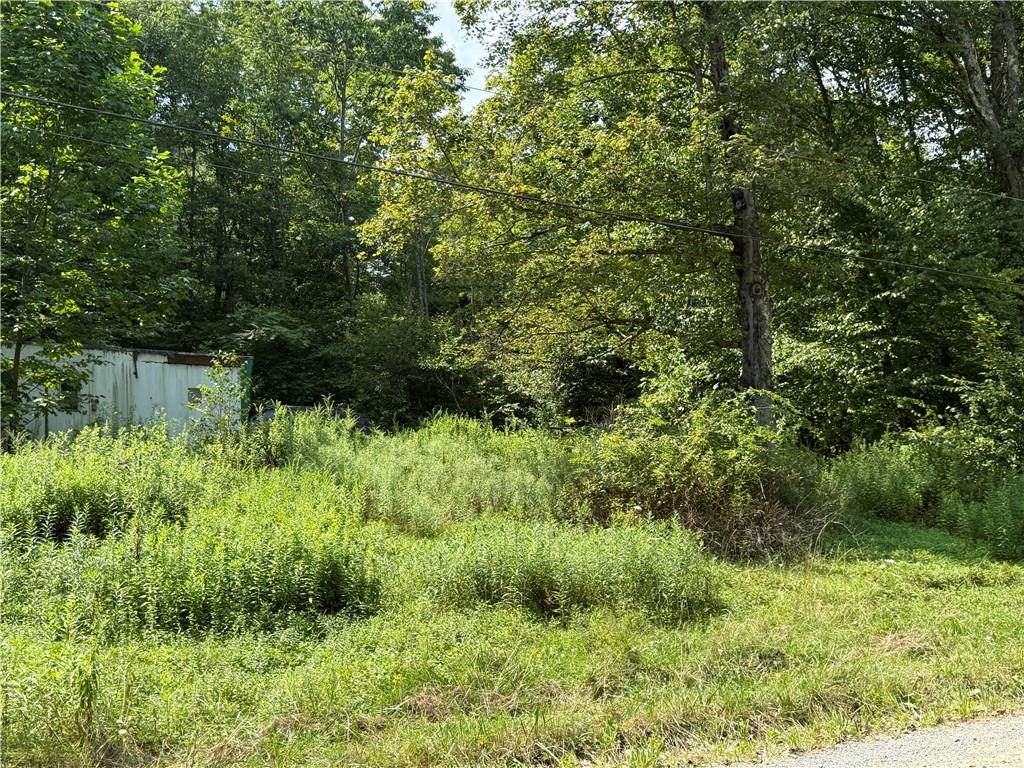 389 West Bellport Road Brookville, PA 15825 - Photo 3 of 5 a view of a garden