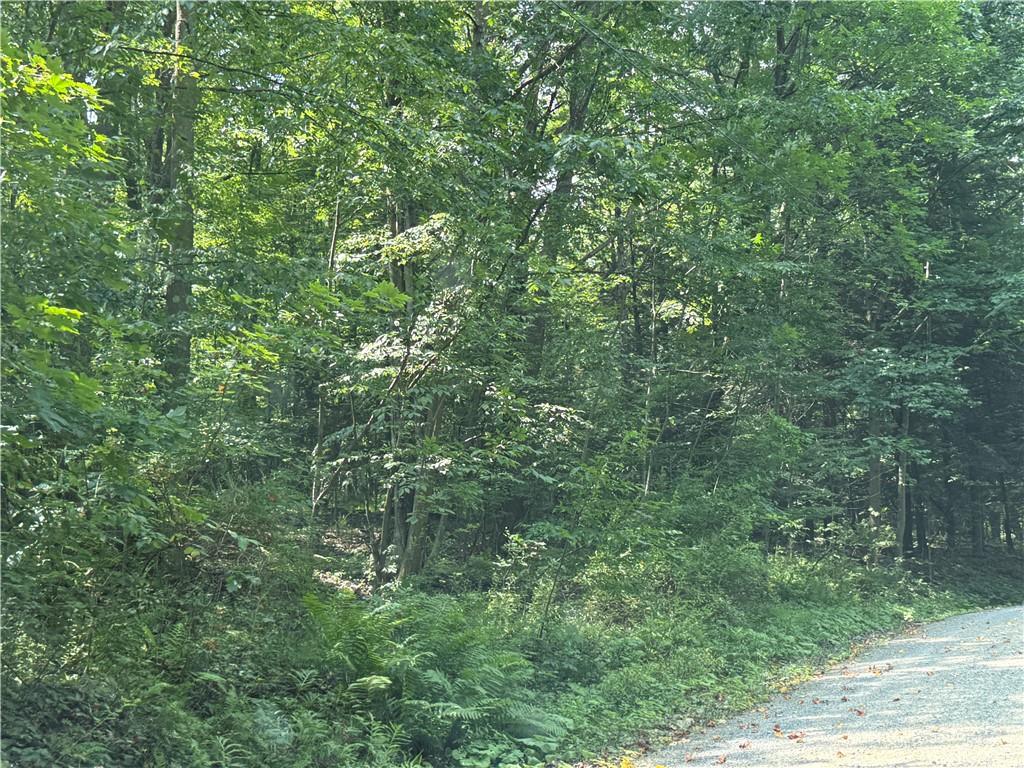 389 West Bellport Road Brookville, PA 15825 - Photo 4 of 5 a view of a lush green forest