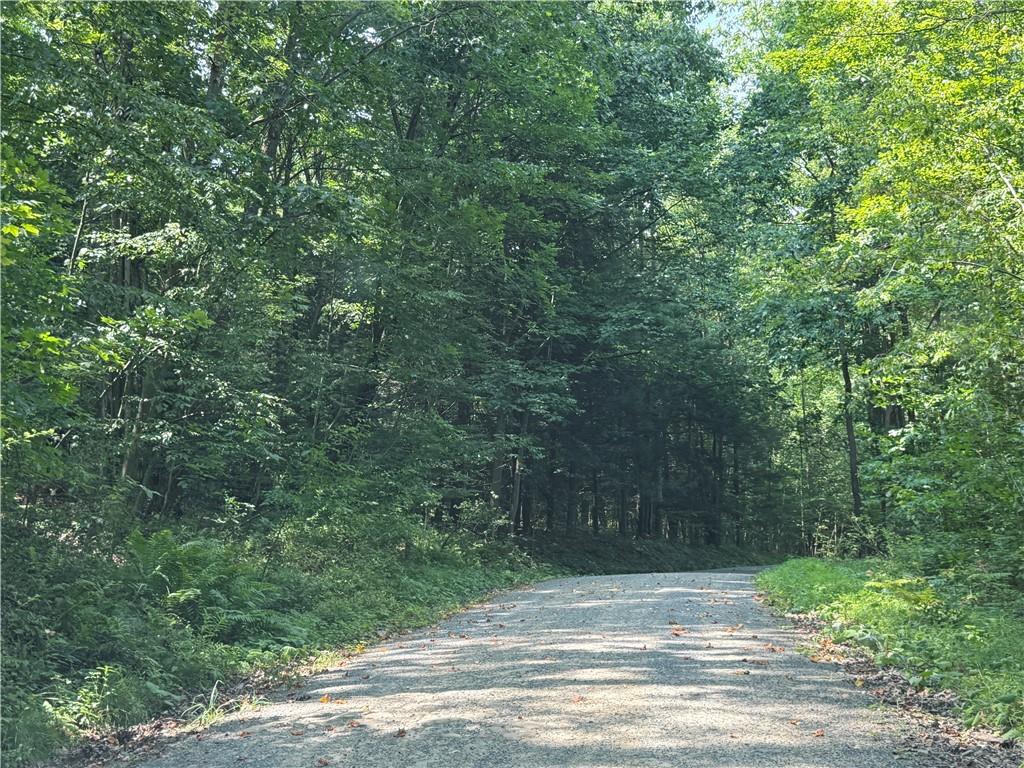 389 West Bellport Road Brookville, PA 15825 - Photo 5 of 5 a view of green field with trees in the background