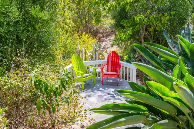 a view of a yard with plants and trees