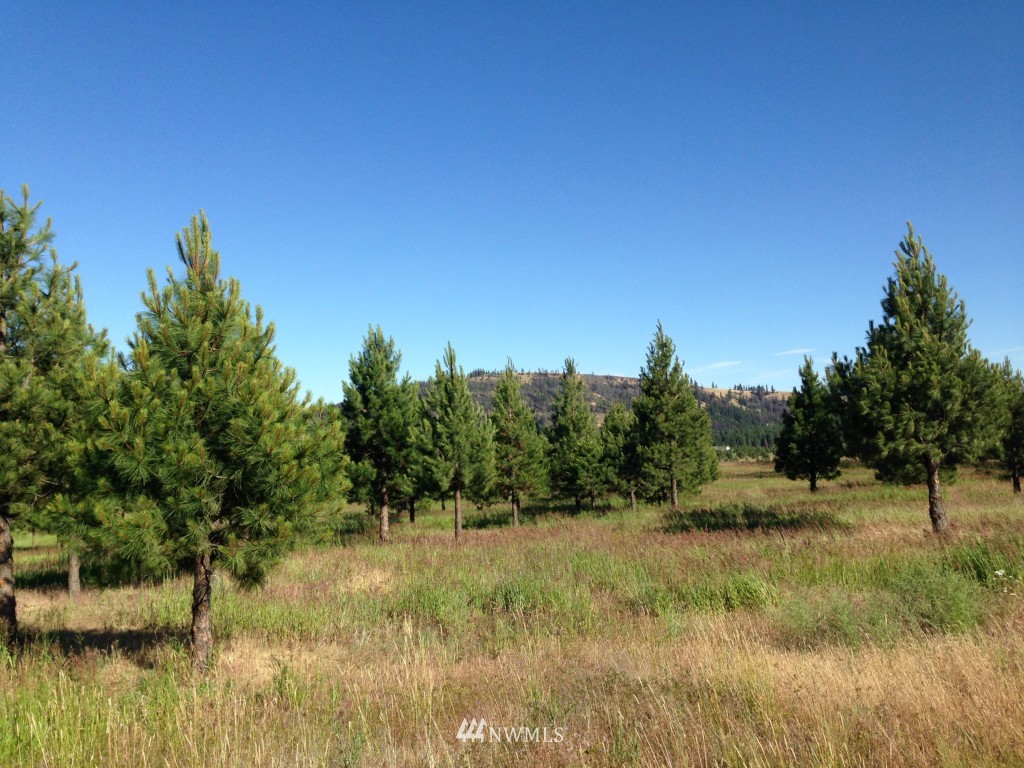 2 Hidden Valley Road Cle Elum, WA 98922 - Photo 2 of 10 Gallery Image 2