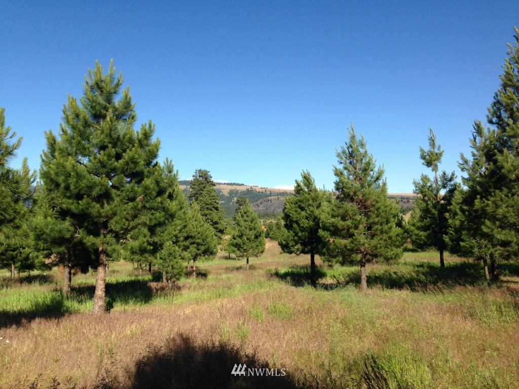 2 Hidden Valley Road Cle Elum, WA 98922 - Photo 4 of 10 Gallery Image 4