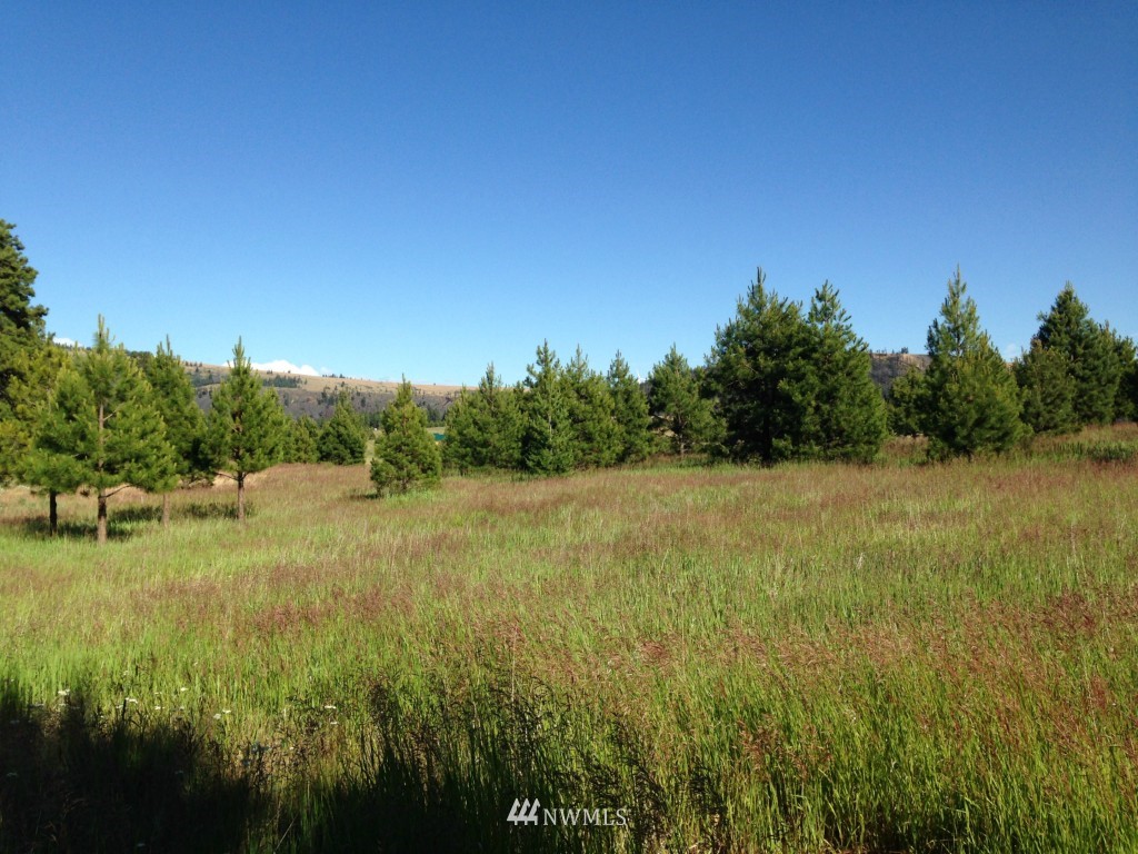 2 Hidden Valley Road Cle Elum, WA 98922 - Photo 6 of 10 Gallery Image 6