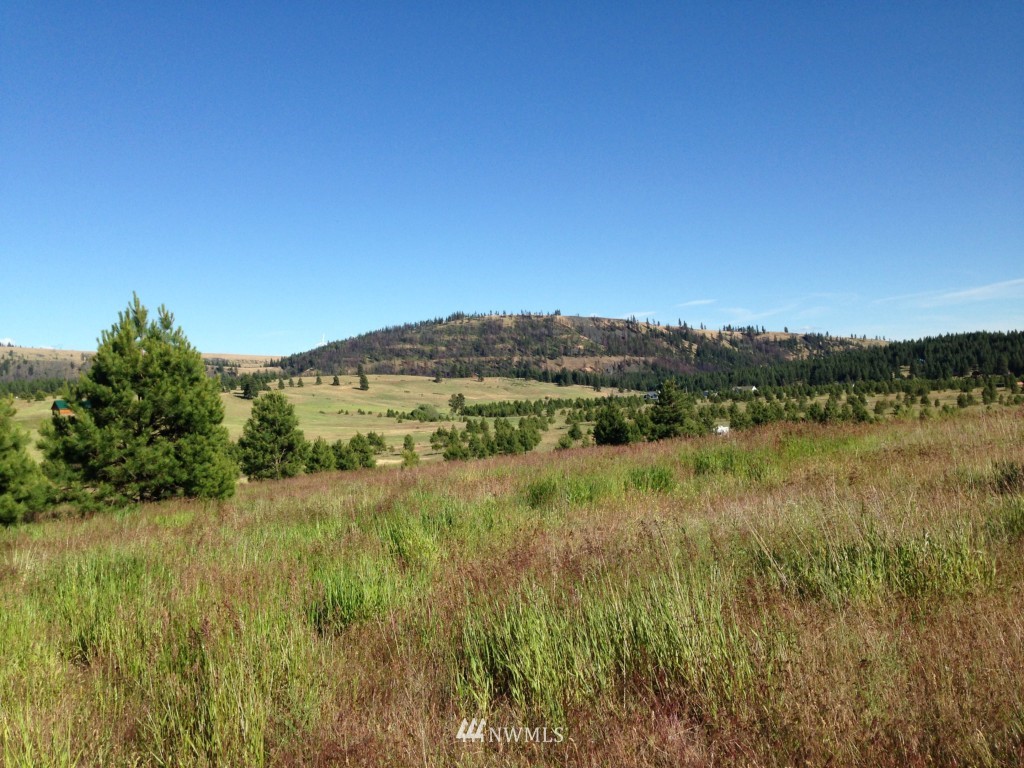 2 Hidden Valley Road Cle Elum, WA 98922 - Photo 10 of 10 Gallery Image 10