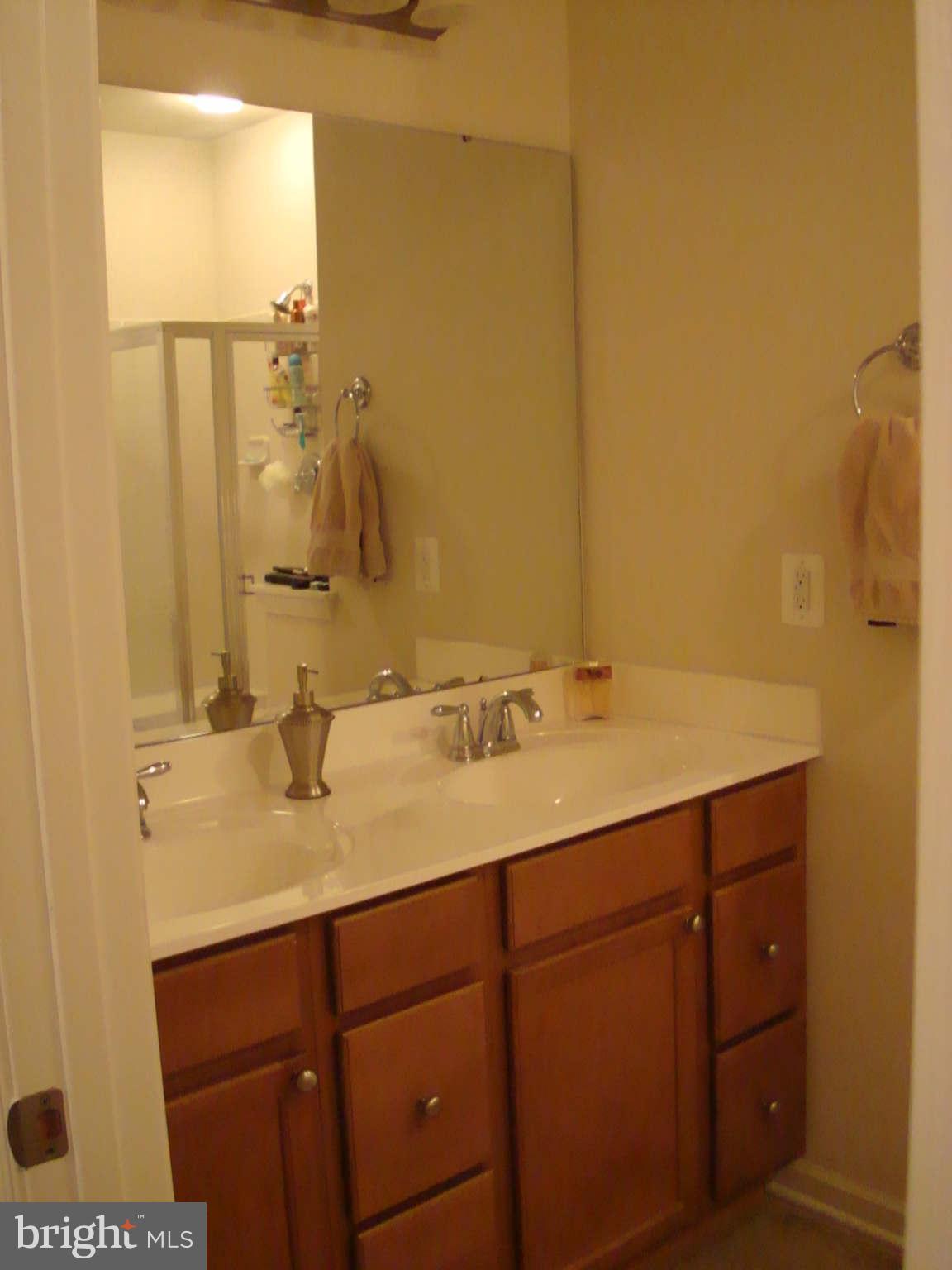 3329 Tianna Way Accokeek, MD 20607 - Photo 20 of 25 Bath (Master)