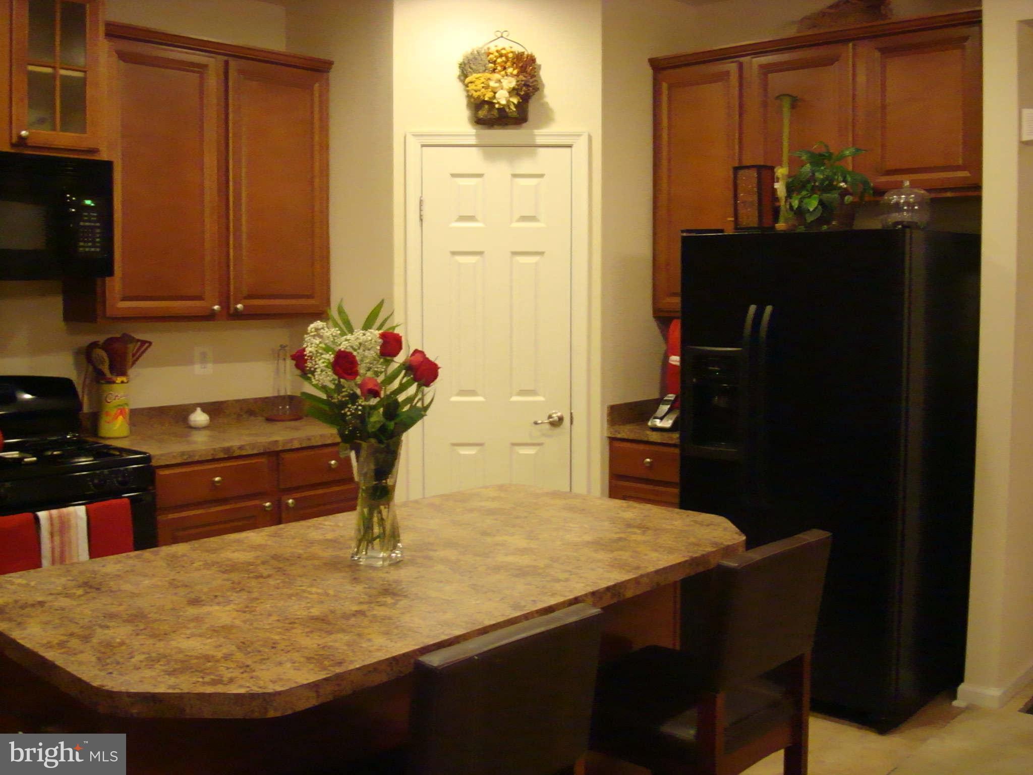 3329 Tianna Way Accokeek, MD 20607 - Photo 9 of 25 Kitchen