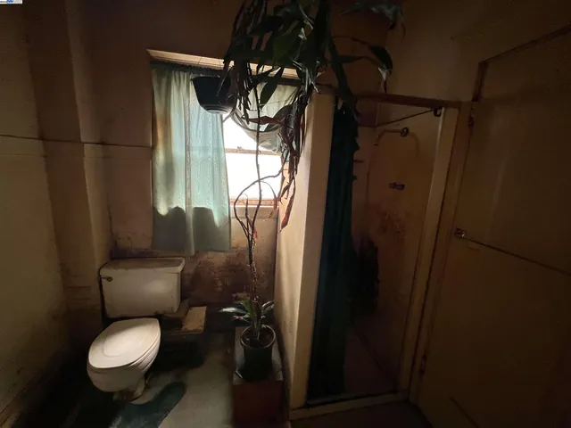a bathroom with a shower and toilet