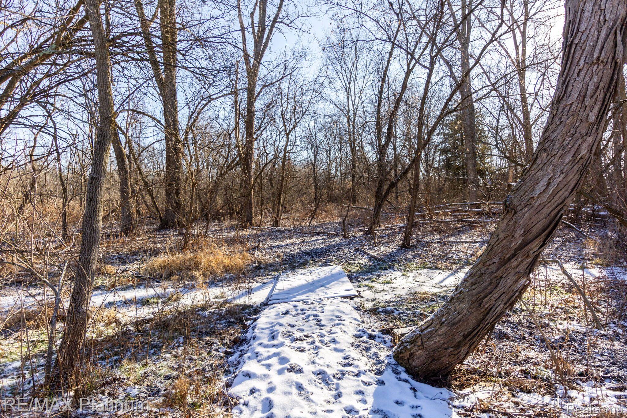 14875 Holmes Road Gregory, MI 48137 - Photo 56 of 73 Hunt on your own land!
