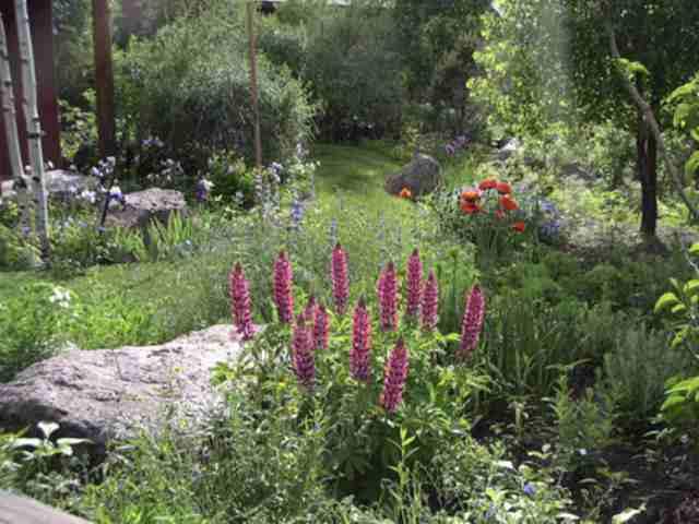 126 Ridge Road Basalt, CO 81621 - Photo 3 of 5 Additional Photo