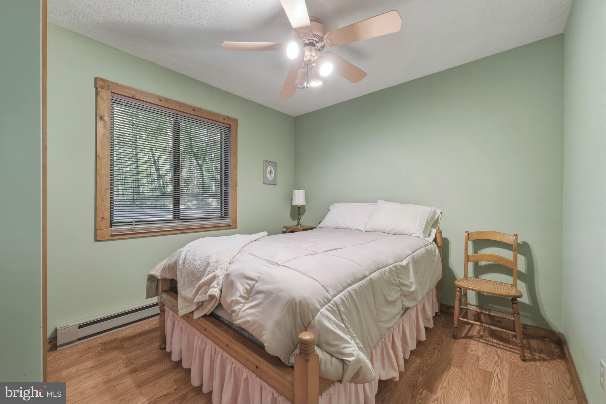 309 Locust Lane Mount Jackson, VA 22842 - Photo 39 of 57 Main Level - Bedroom
