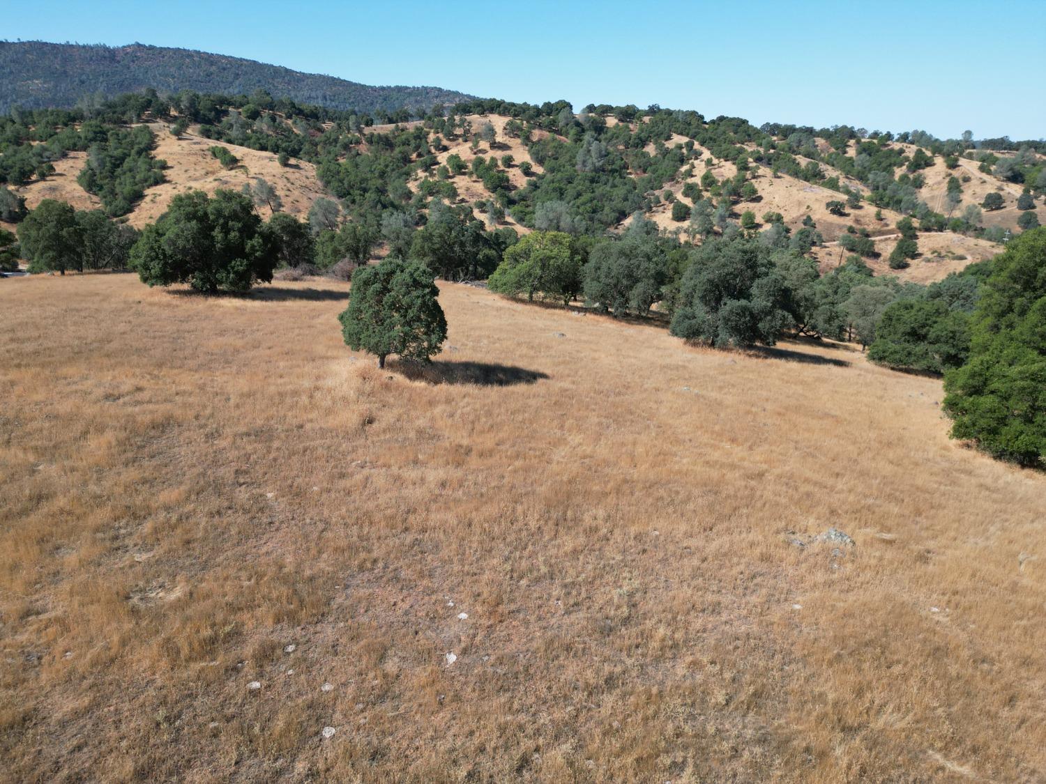 747 Garbarini Road San Andreas, CA 95249 - Photo 4 of 8 a view of a field with a mountain in the background