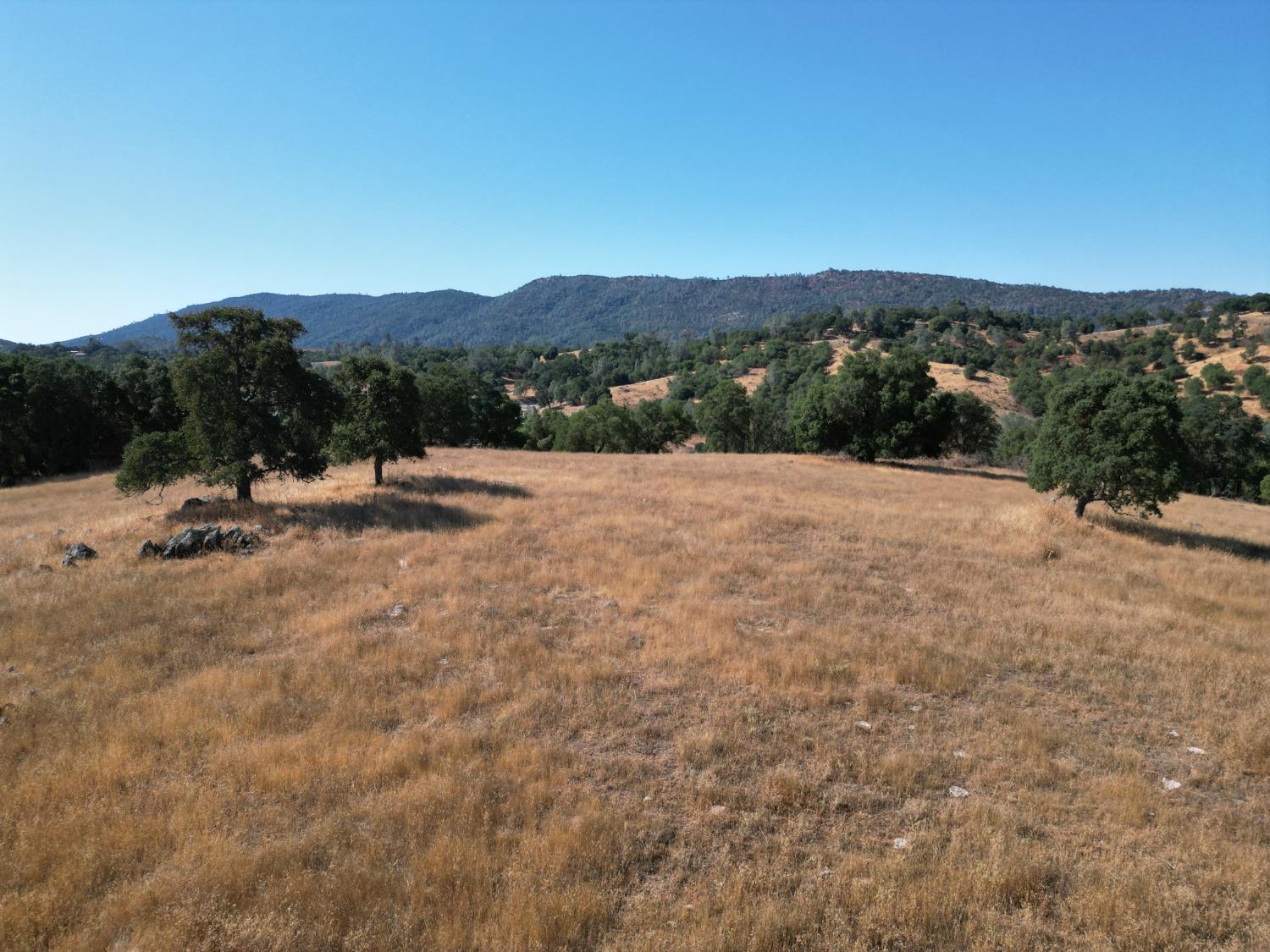 747 Garbarini Road San Andreas, CA 95249 - Photo 6 of 8 a view of outdoor space