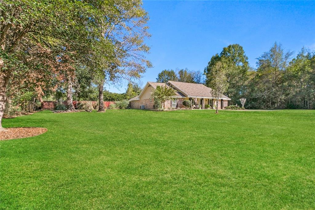 1019 Needle Road Franklinton, LA 70438 - Photo 4 of 30 Gallery Image 4