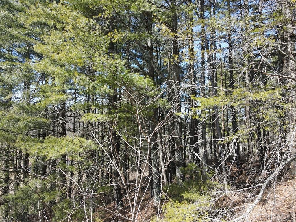 Tbd Pine Creek Road Cullowhee, NC 28723 - Photo 51 of 51 Gallery Image 51