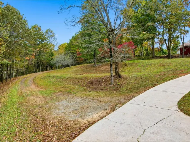 a view of a tree with a yard