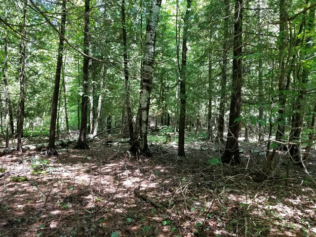 Land Old School Road Ellison Bay, WI 54210 - Photo 1 of 1 Main View