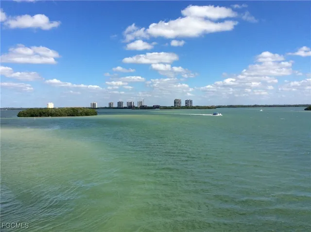 a view of a lake and a yard