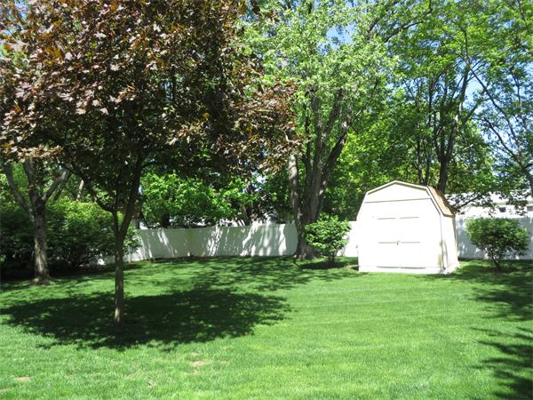 14 Starling Road Springfield, MA 01119 - Photo 5 of 16