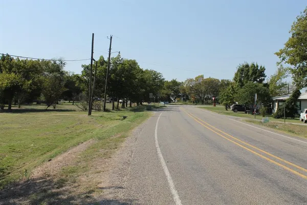 a view of a park with large trees