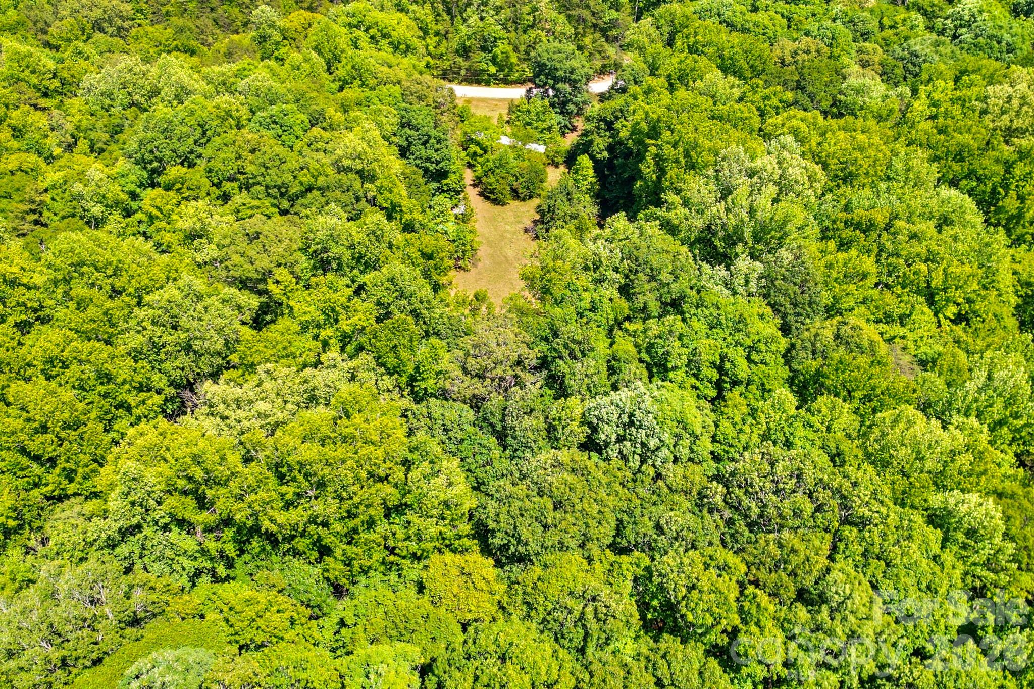 2239 Capps Road York, SC 29745 - Photo 9 of 32