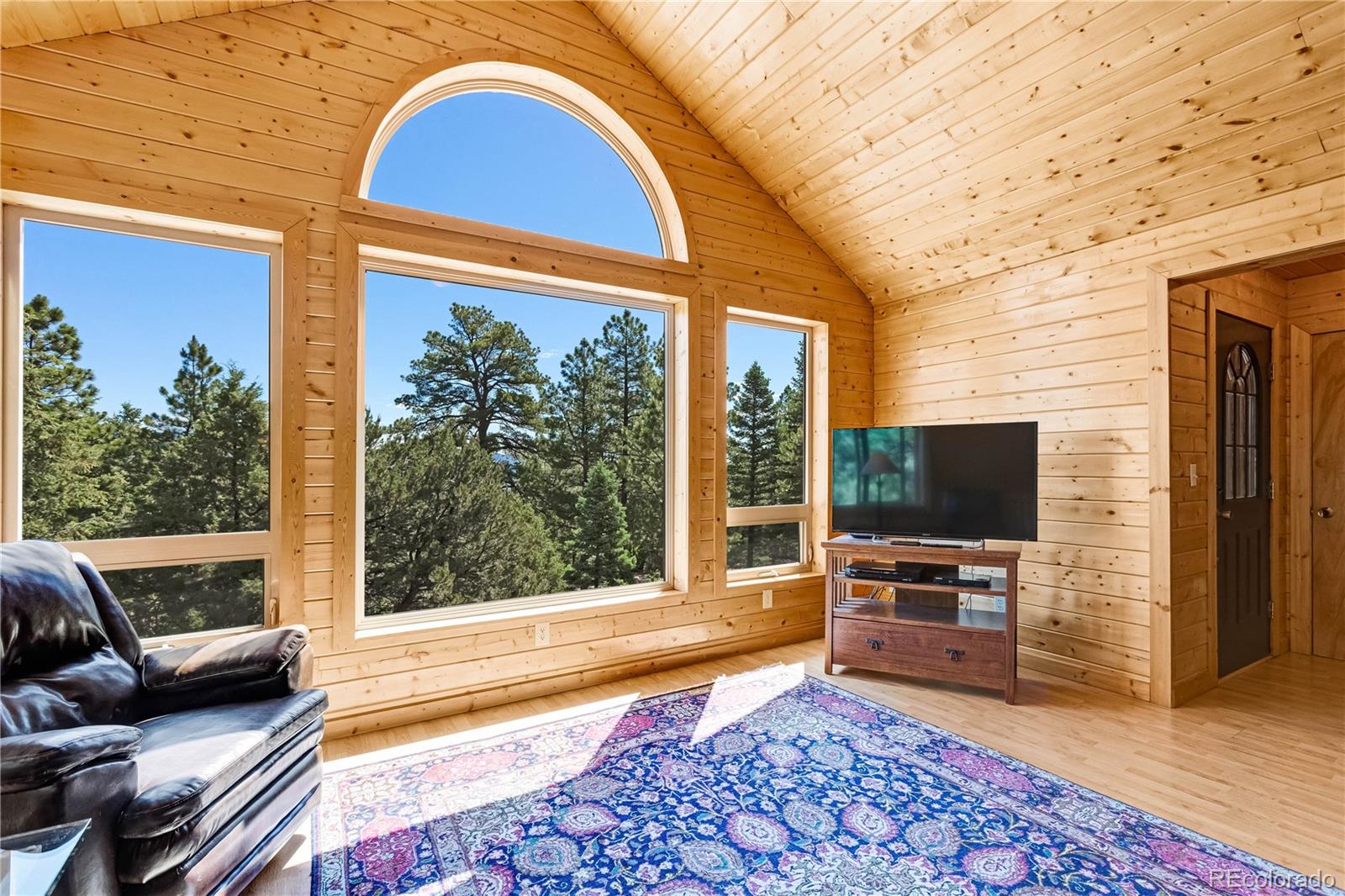 83 Forest Lane Howard, CO 81233 - Photo 5 of 43 a living room with a bed and a flat screen tv