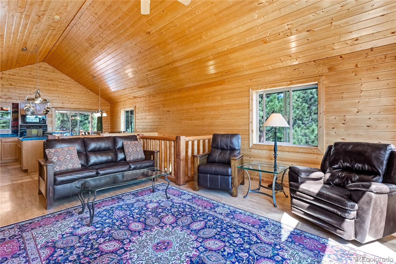 83 Forest Lane Howard, CO 81233 - Photo 8 of 43 a living room with furniture and a rug