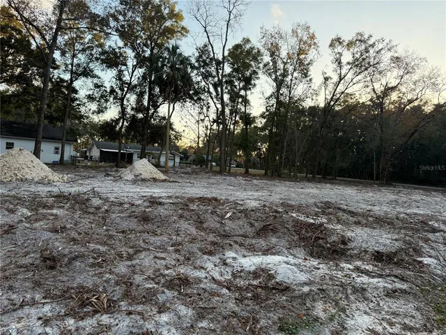 a view of backyard with green space