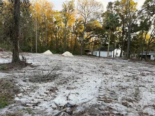 a wooden bench with trees in the background