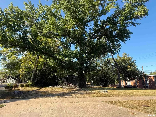 $38,000 | 604 South Rawlings Street, Carbondale, IL 62901