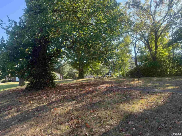 $38,000 | 604 South Rawlings Street, Carbondale, IL 62901