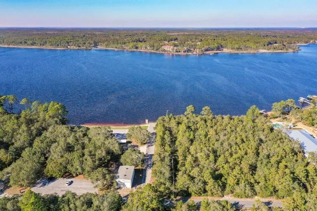 a view of a yard with an trees