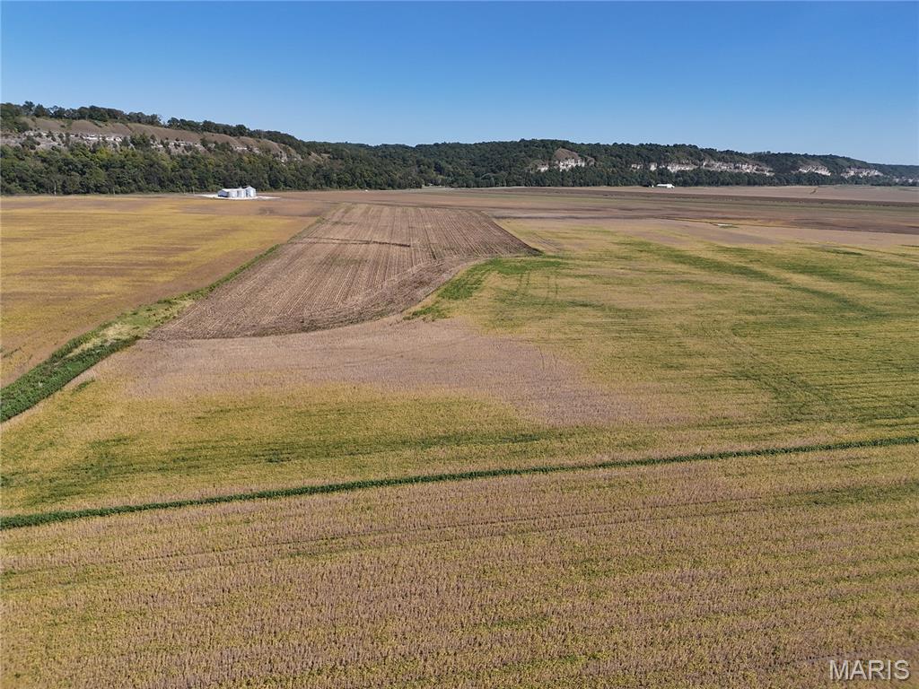 1-00 Bluff Road Prairie du Rocher, IL 62277 - Photo 3 of 8