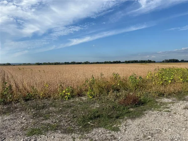 $385,000 | 1-00 Bluff Road, Prairie du Rocher, IL 62277