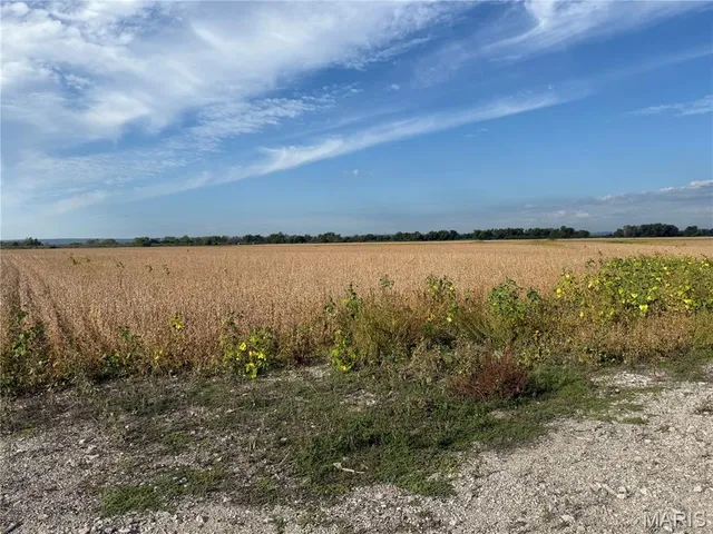 $180,000 | 1-00 Bluff Road, Prairie du Rocher, IL 62277