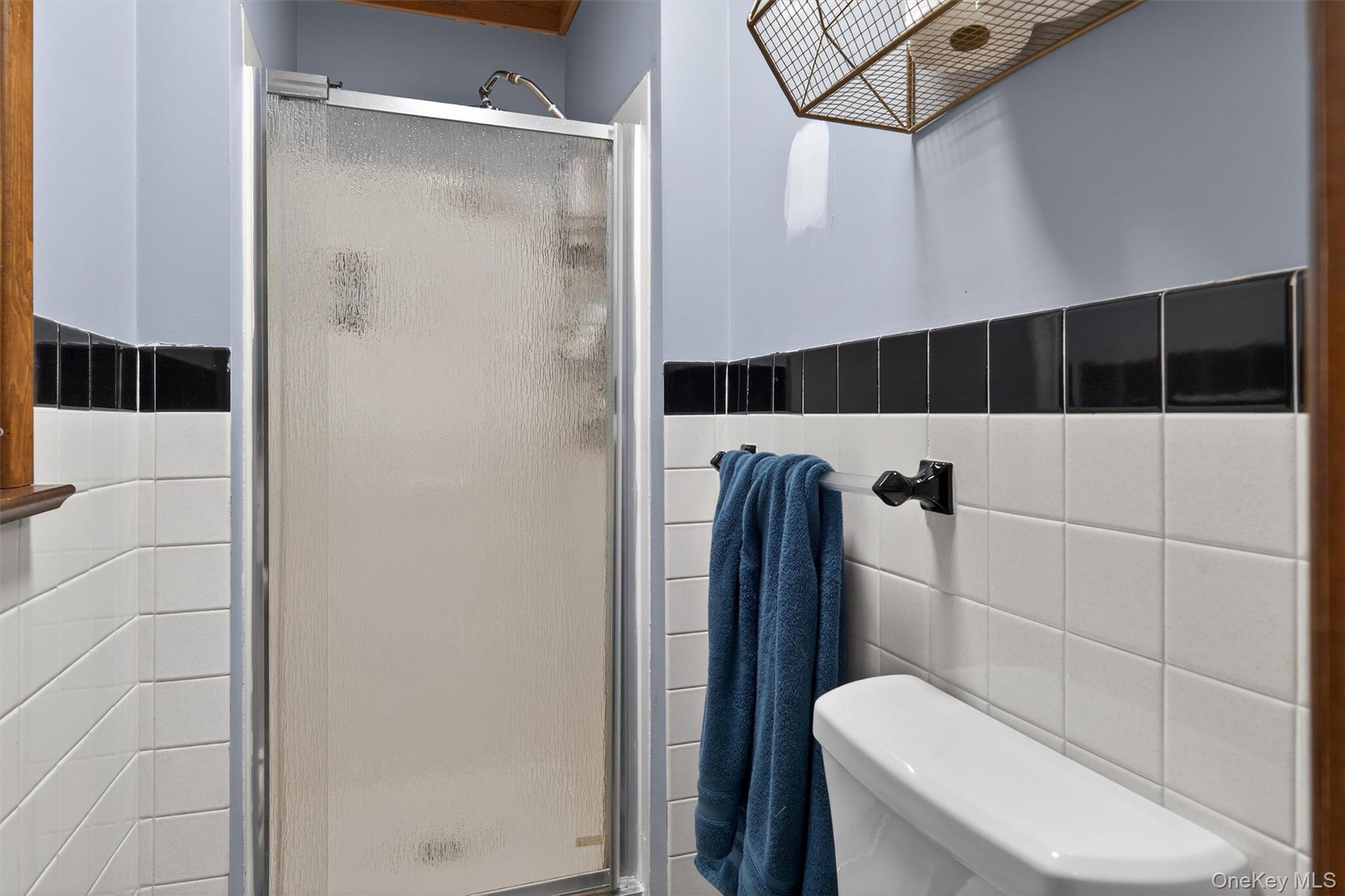 65 Bailey Road New Hampton, NY 10958 - Photo 31 of 50 a bathroom with a shower and a toilet