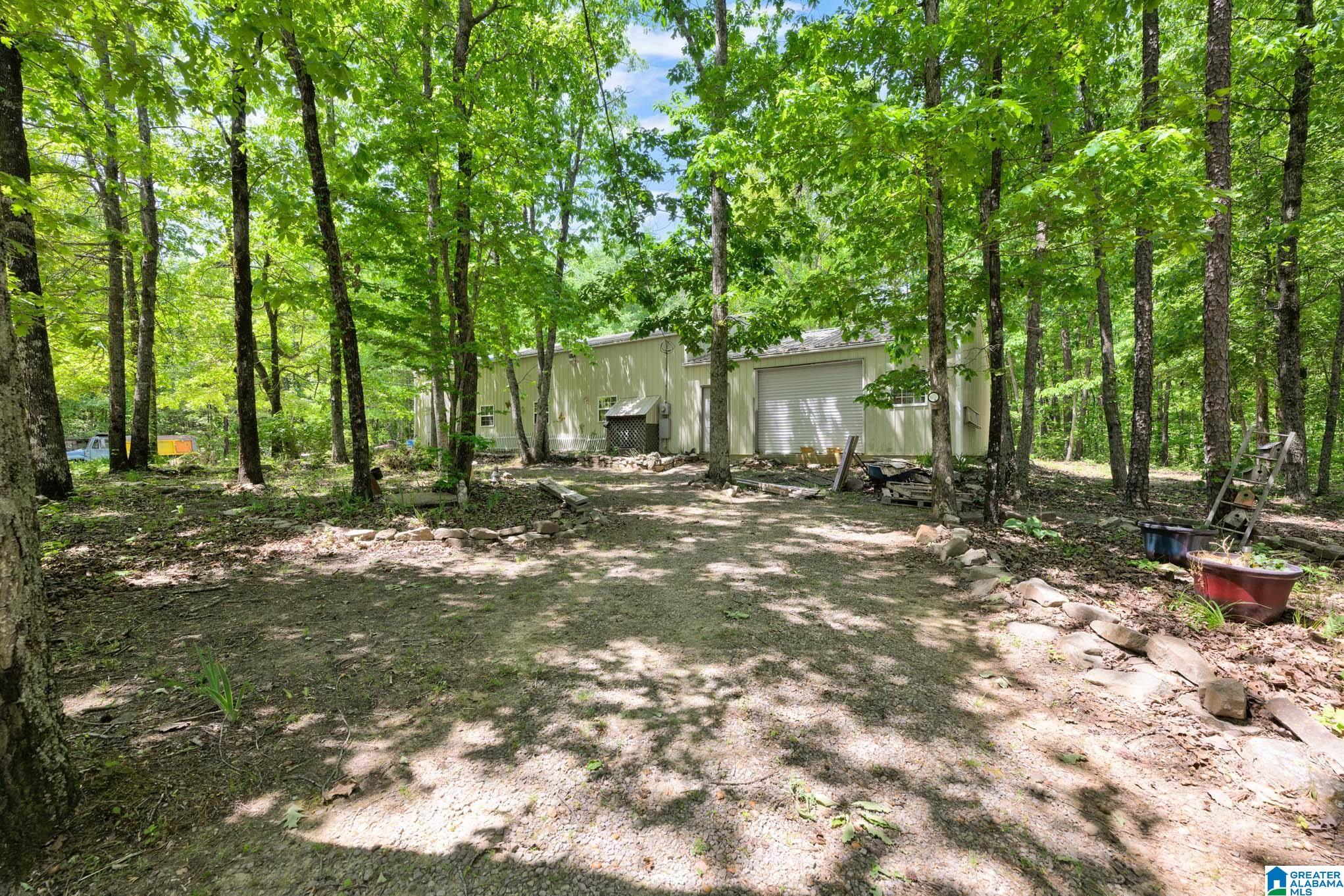 7076 Co Highway 24 Springville, AL 35146 - Photo 44 of 60