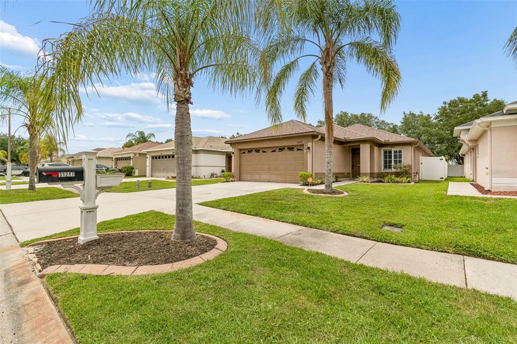 31217 Tagus Loop Wesley Chapel, FL 33545 - Photo 13 of 62