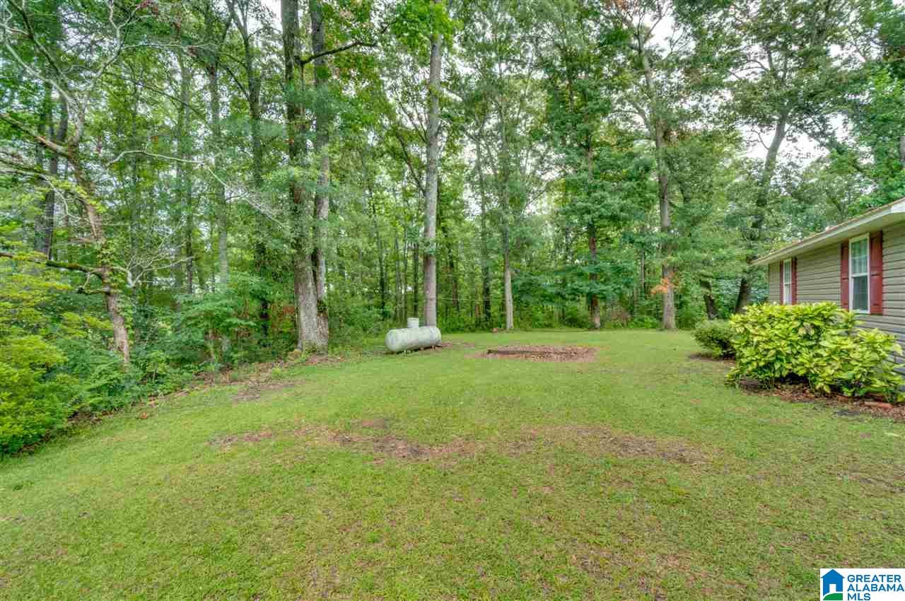 2995 County Road 77 Clanton, AL 35045 - Photo 40 of 50