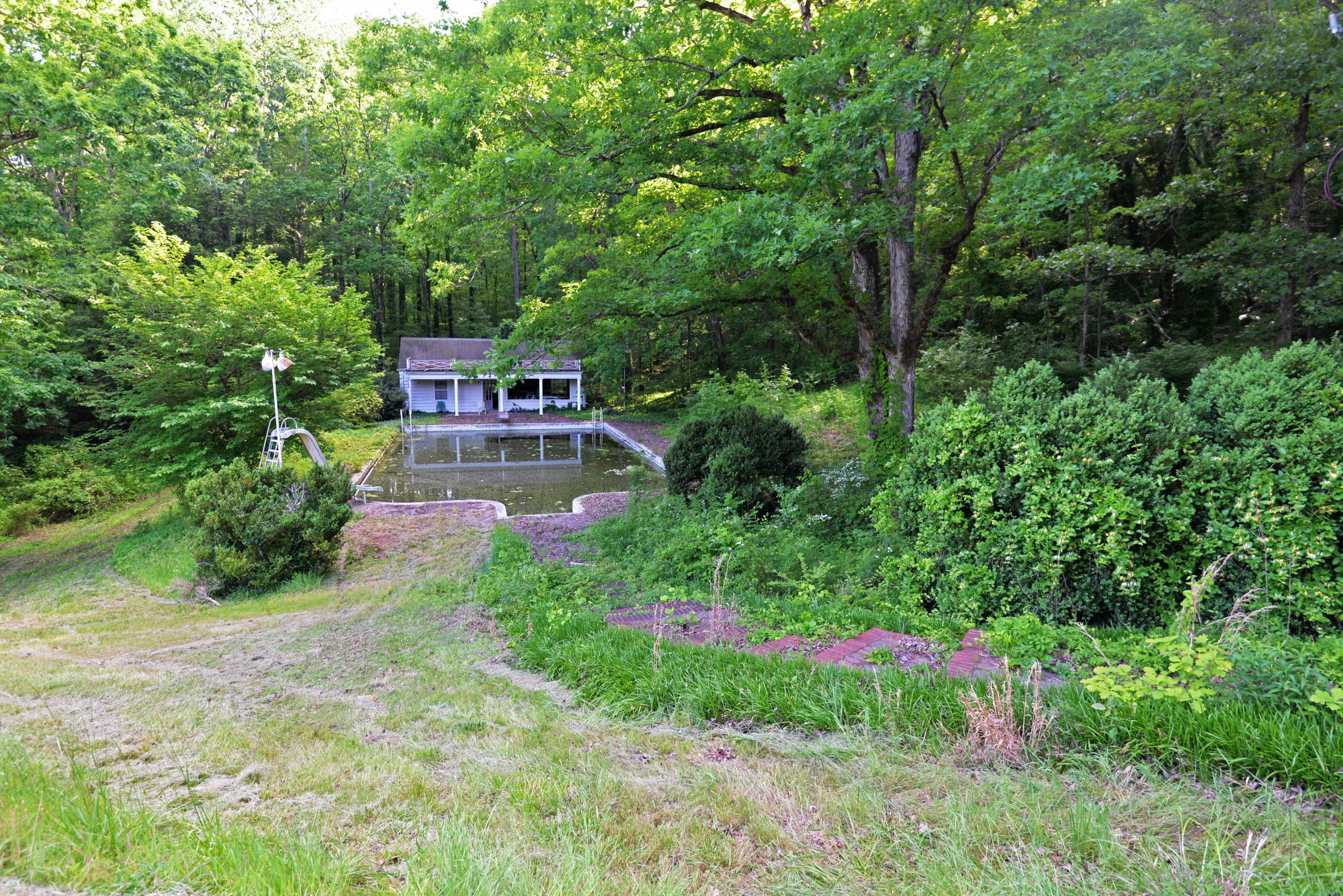 490 Hutcheson Road, Unit TRACT A Flintstone, GA 30725 - Photo 15 of 35 Pool from above (med)