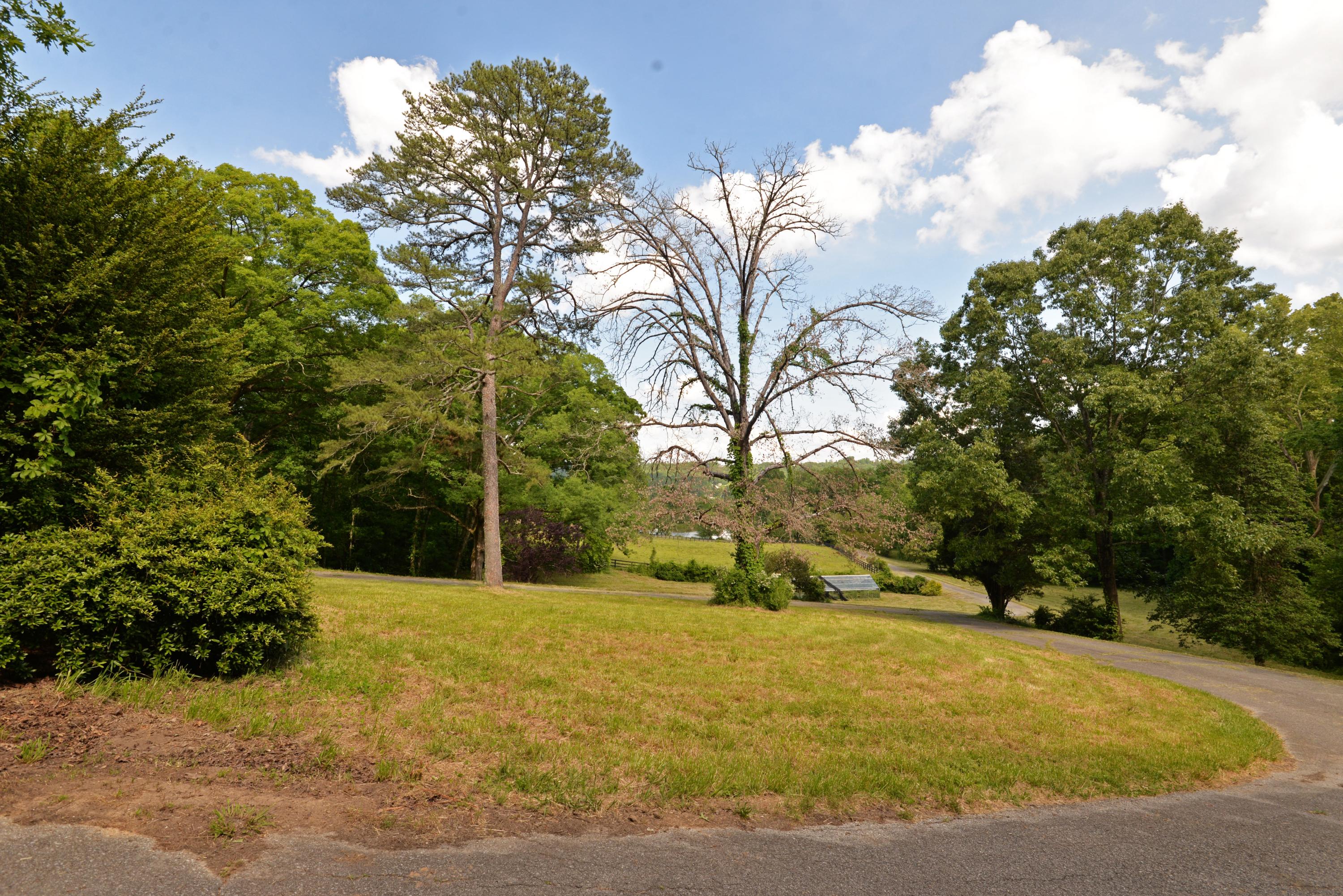 490 Hutcheson Road, Unit TRACT A Flintstone, GA 30725 - Photo 19 of 35 View from house (med)