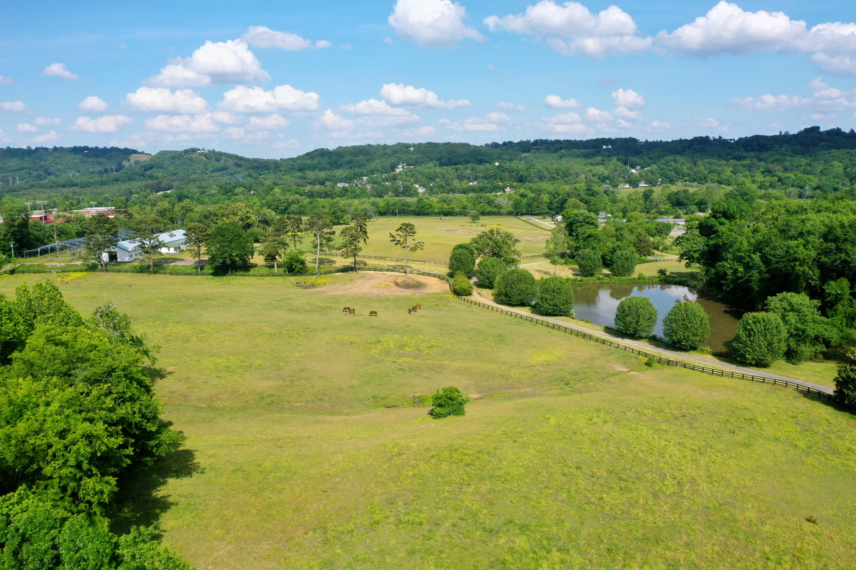 490 Hutcheson Road, Unit TRACT A Flintstone, GA 30725 - Photo 21 of 35 Pasture towards lake