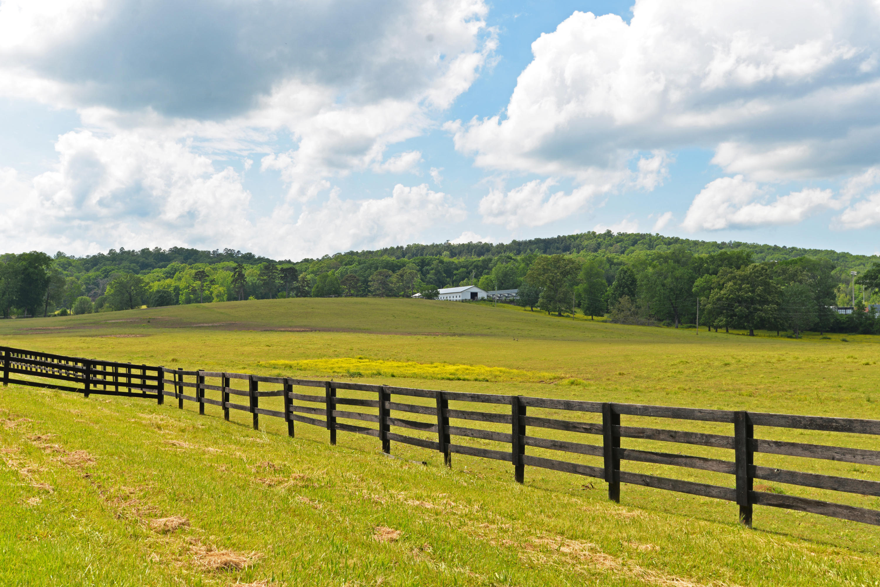 490 Hutcheson Road, Unit TRACT A Flintstone, GA 30725 - Photo 4 of 35 Barn and pasture