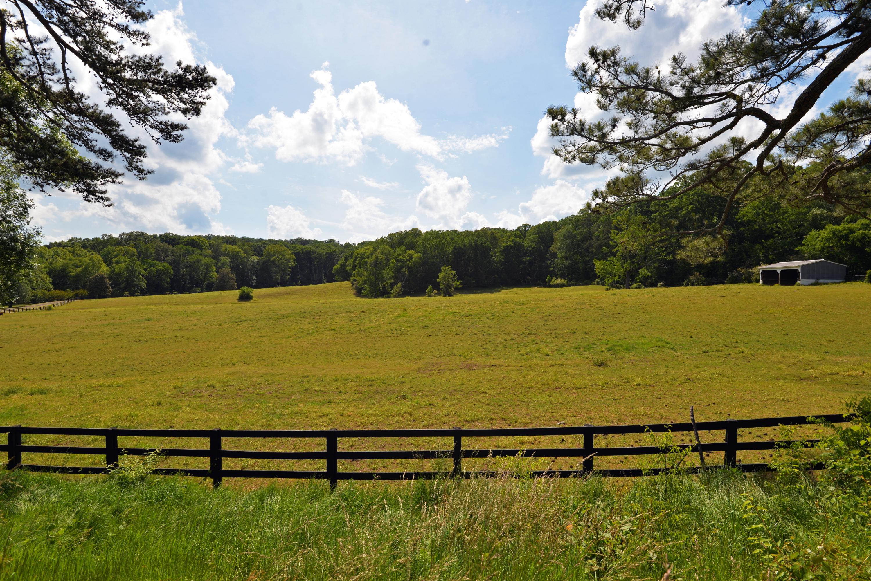 490 Hutcheson Road, Unit TRACT A Flintstone, GA 30725 - Photo 31 of 35 Pasture between barn and house 2 (med)