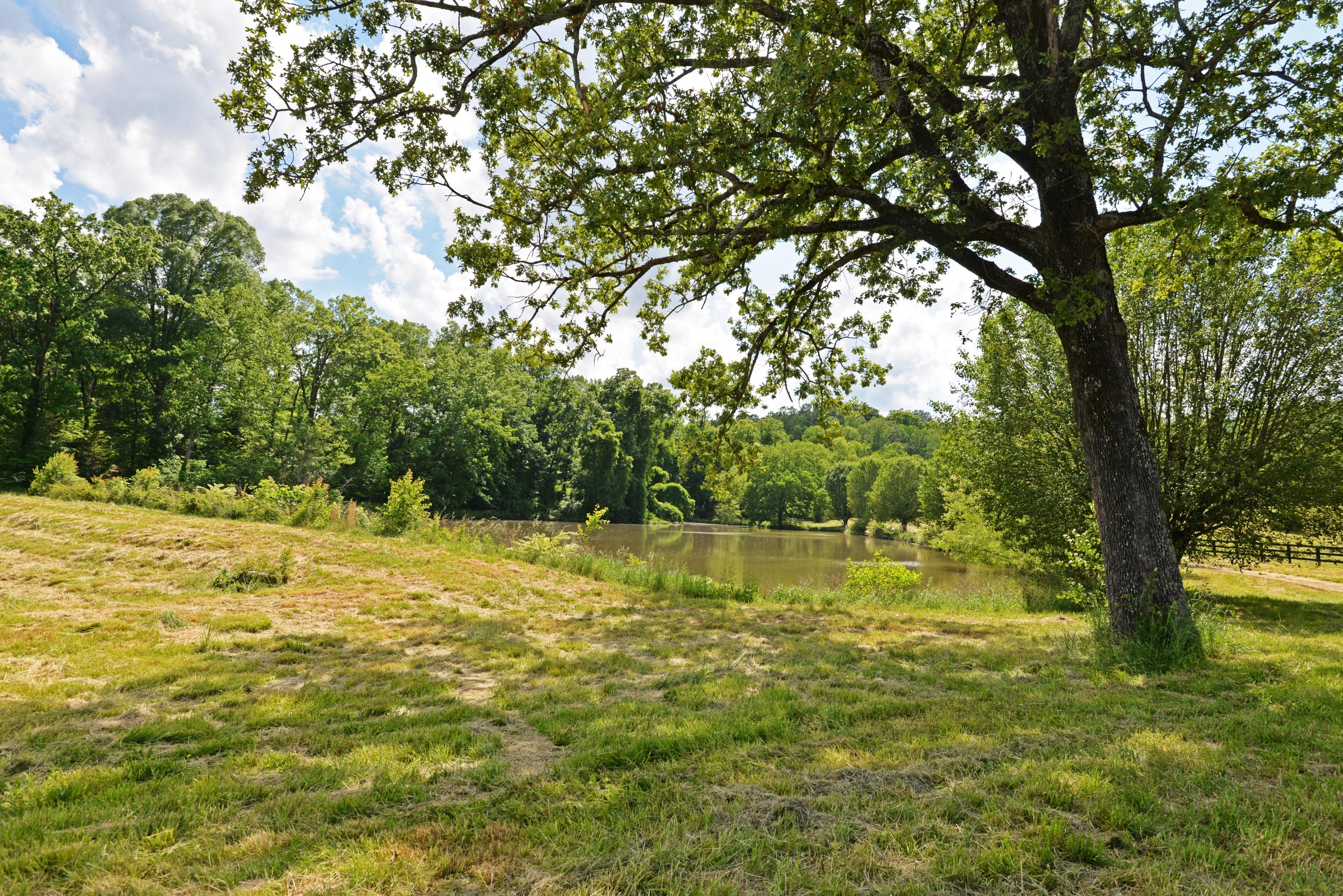 490 Hutcheson Road, Unit TRACT A Flintstone, GA 30725 - Photo 33 of 35 Pond (med)