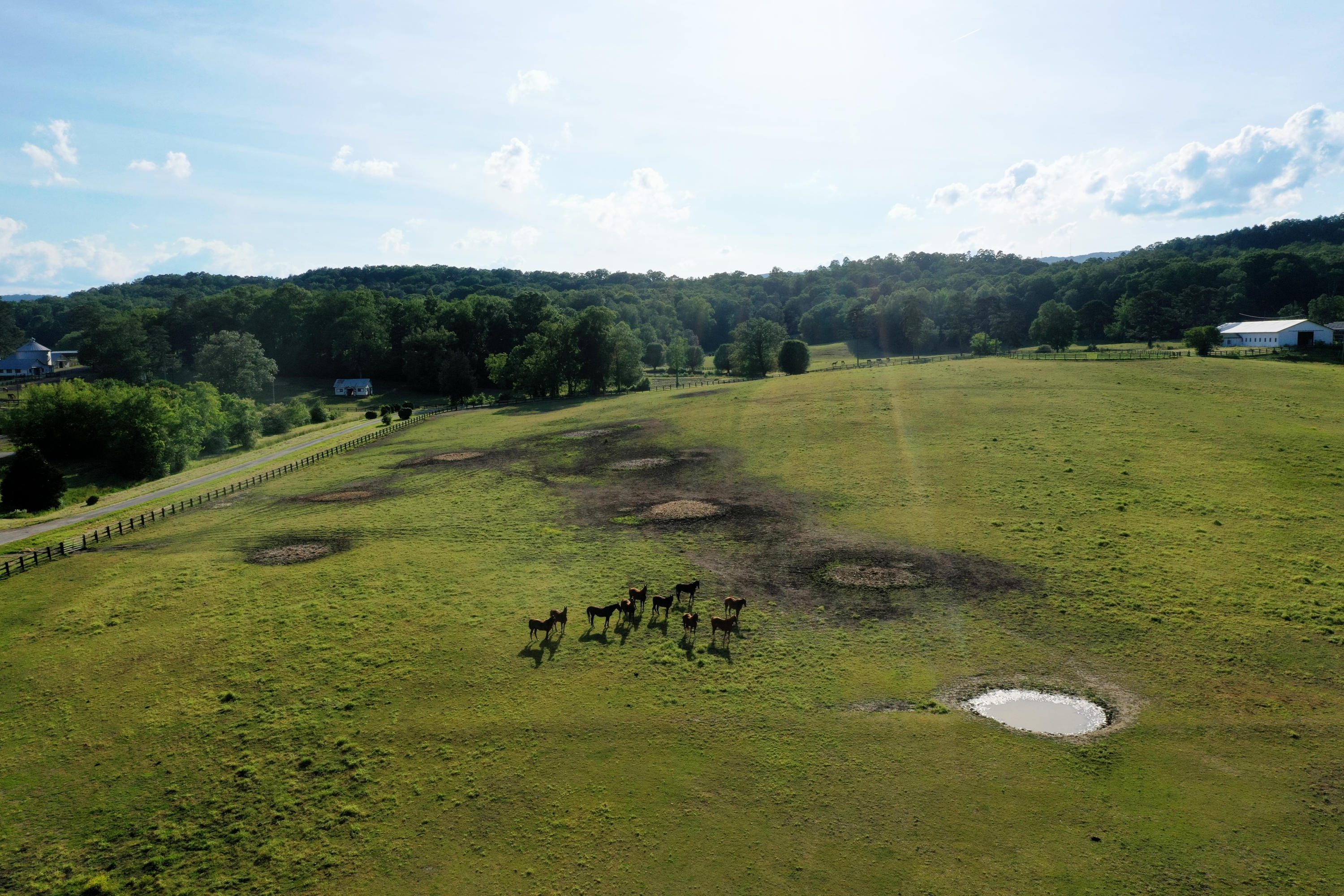 490 Hutcheson Road, Unit TRACT A Flintstone, GA 30725 - Photo 5 of 35 Horses and front pasture
