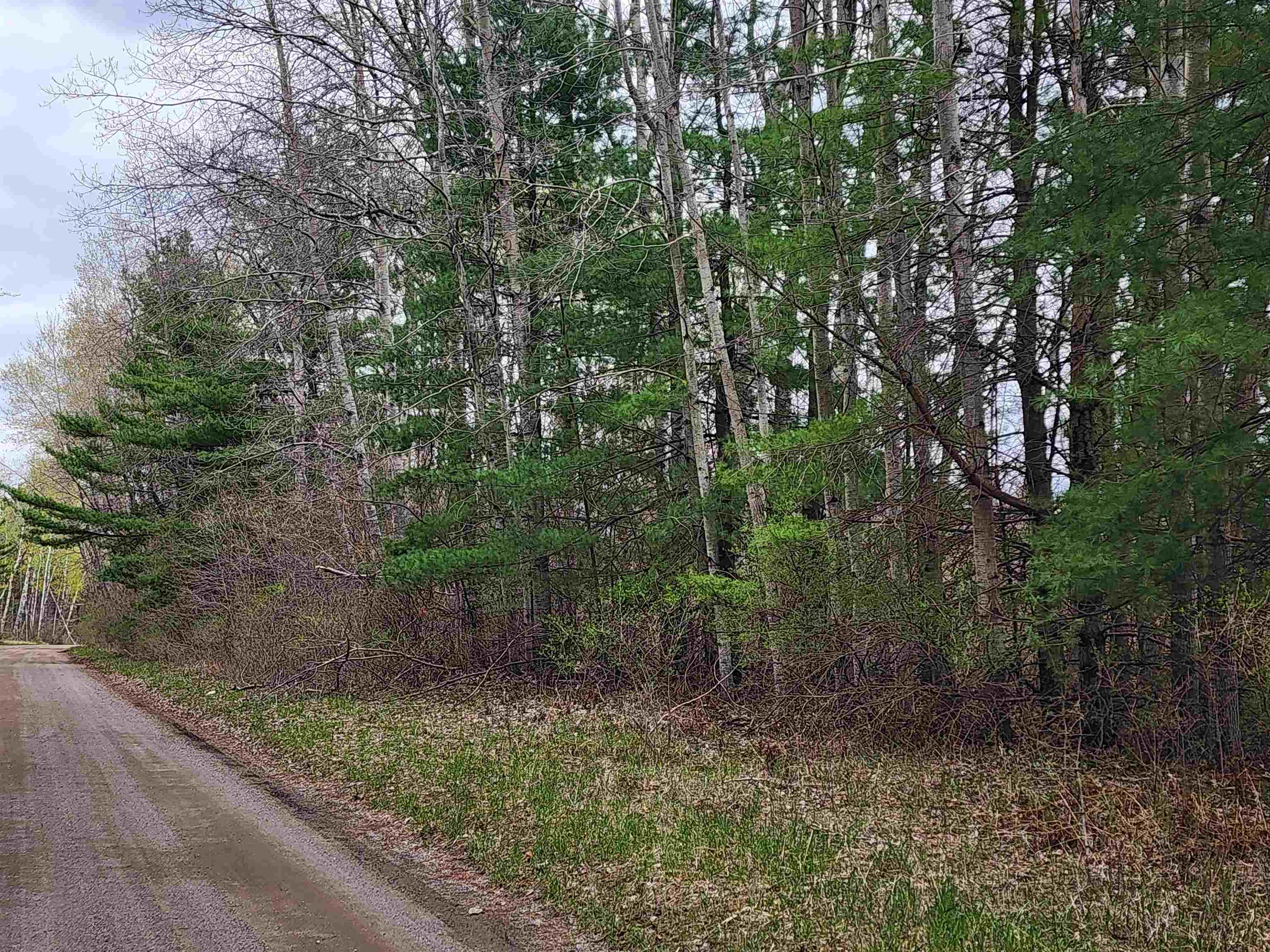 0 River Road Omer, MI 48749 - Photo 1 of 10