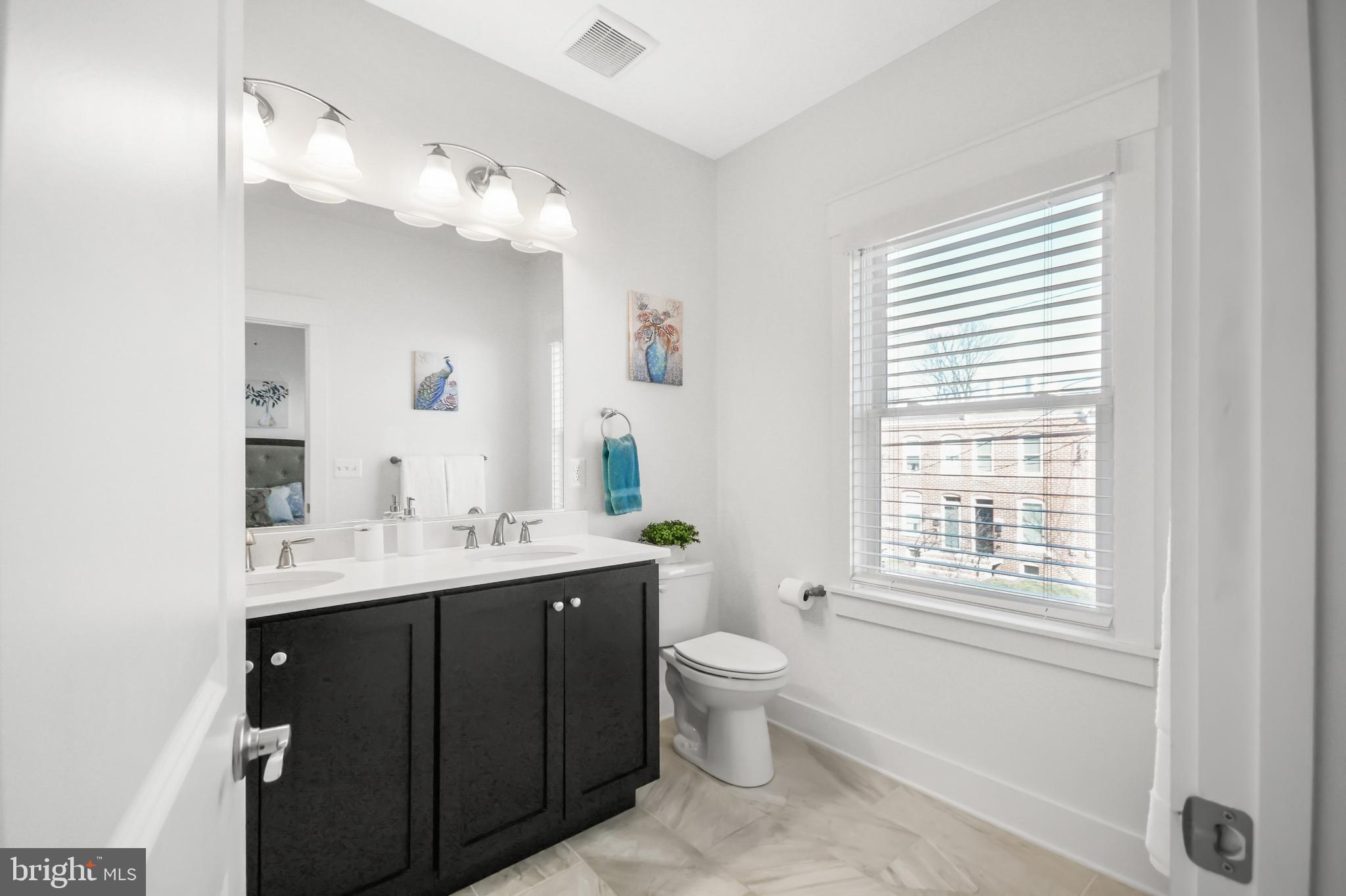 224 East 6th Street Frederick, MD 21701 - Photo 35 of 55 a bathroom with a toilet a sink a mirror a window and vanity