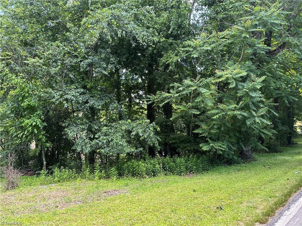Tbd South Recreation Road Wilkesboro, NC 28697 - Photo 11 of 21